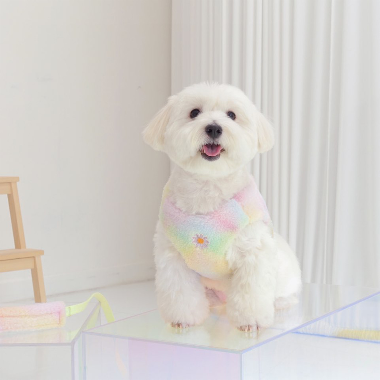 Pastel Cotton Candy Harness